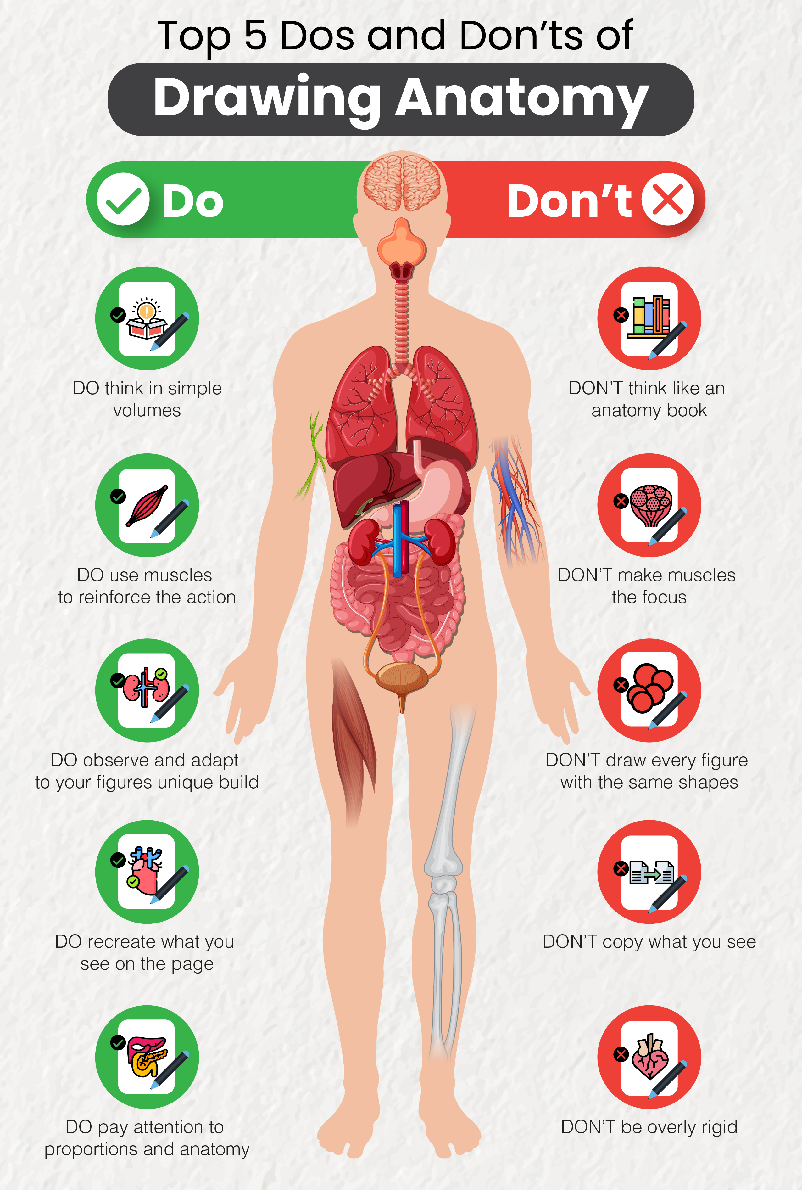 [Infographic] How to Practice Drawing Anatomy: Top 5 Dos and Don'ts