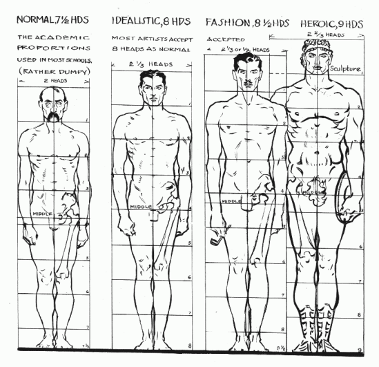 figure drawing proportions of different figure types