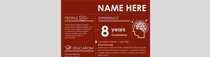 most beautiful resume - infographic resume