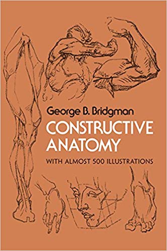 drawing books - constructive anatomy