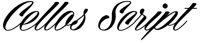  calligraphy font
