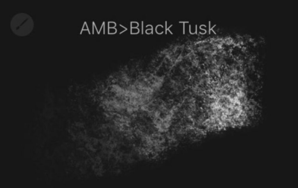 black tusk brush