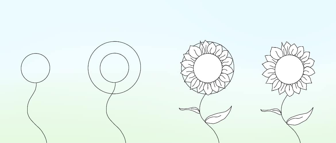 8 Tips to Create Simple Flower Drawings (For Beginners)