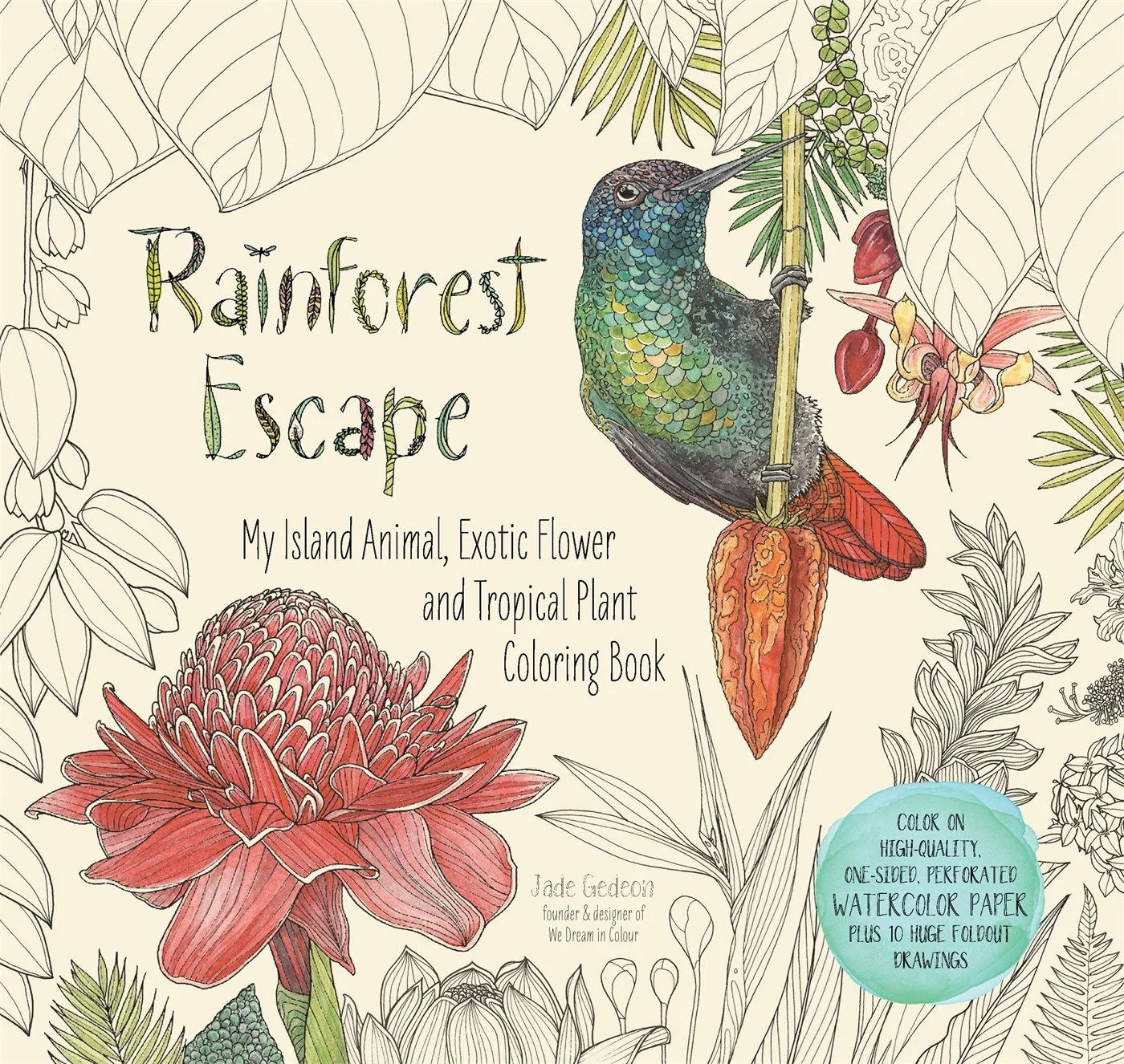 rainforest escape coloring book