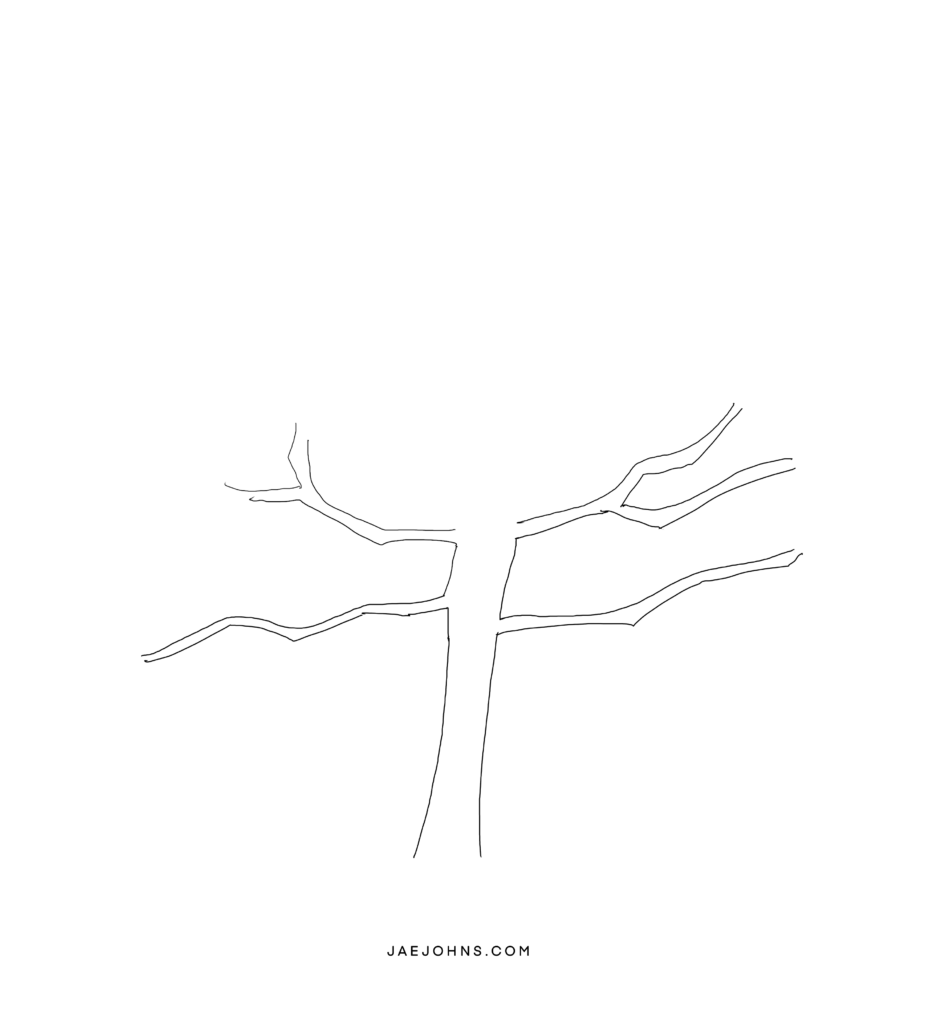 how to draw a pine tree - step 3