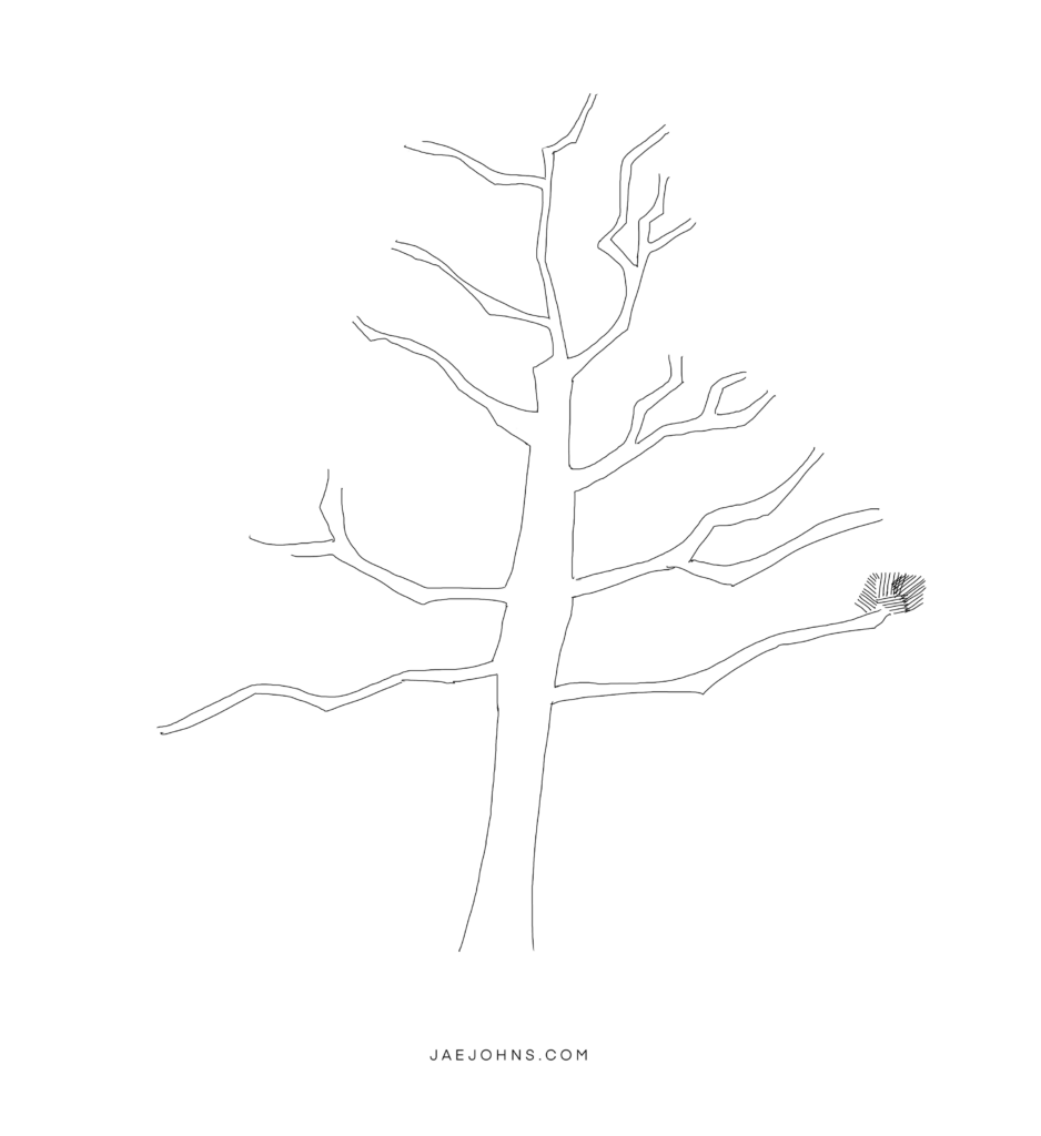 how to draw a pine tree - step 8