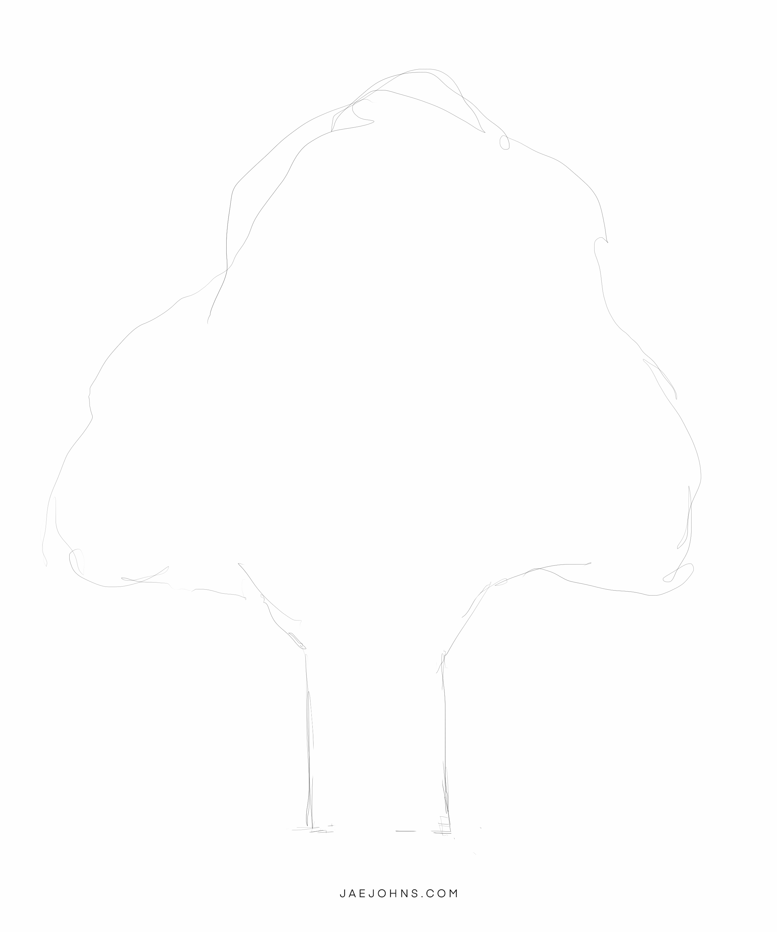 how to draw an oak tree - animated process