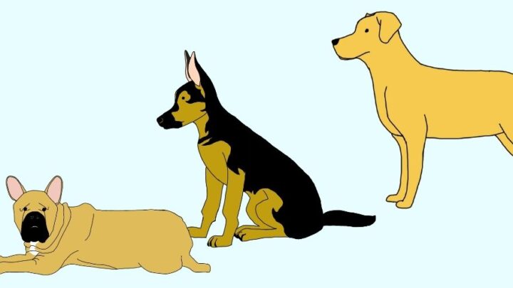 How to Draw Dogs – Easy Step by Step Tutorial for Cute Dogs