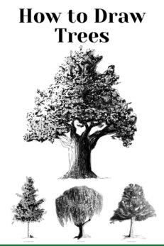 How to Draw Realistic Trees Like a Pro