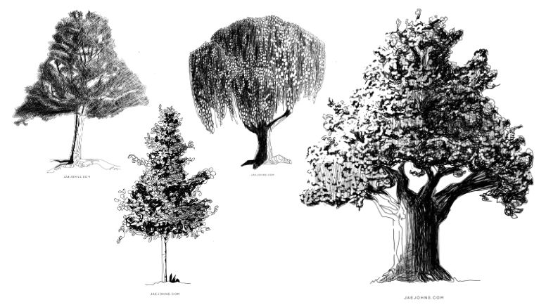 How to Draw Realistic Trees Like a Pro