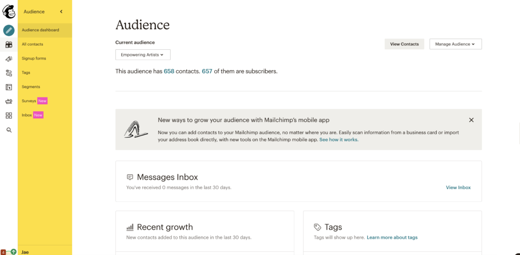 mailchimp vs flodesk: mailchimp audience dashboard