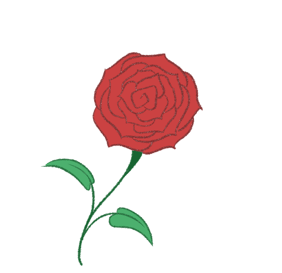 final rose drawing