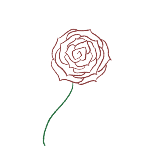 How to Draw a Rose (7 Easy Steps) - Jae Johns
