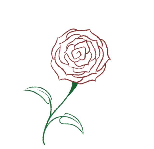 How to Draw a Rose (7 Easy Steps)