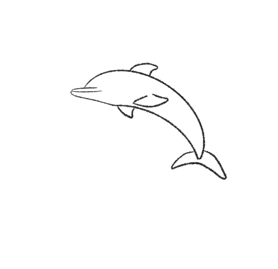 how to draw a dolphin step by step realistic