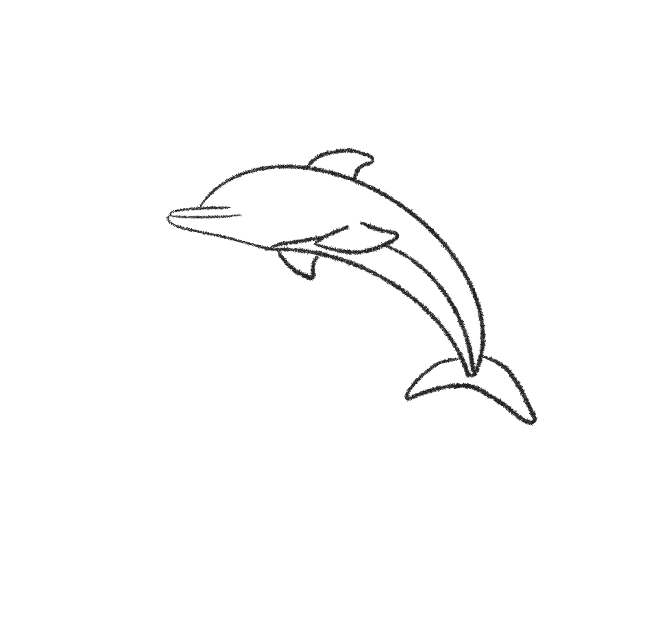 how to draw a cute baby dolphin