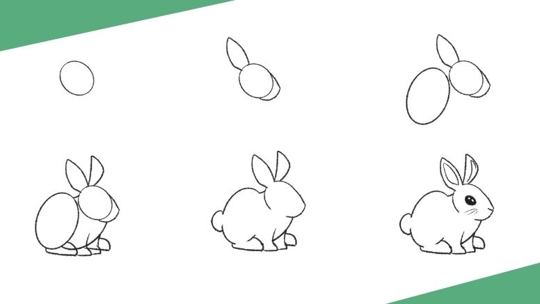 how to draw a bunny