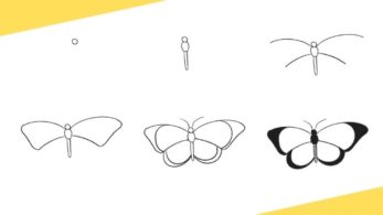 how do you draw a butterfly how do you draw a butterfly
