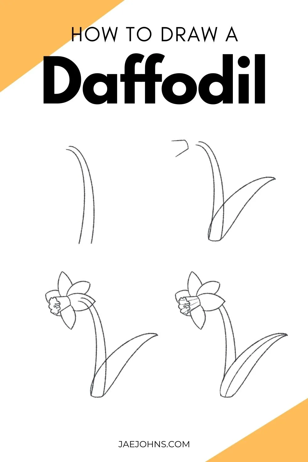 how to draw a daffodil