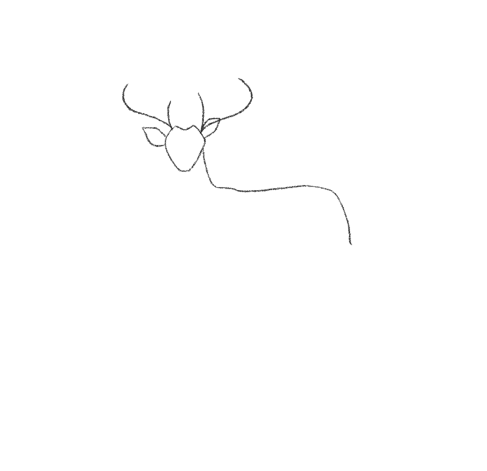 how to draw a deer step 4 draw antlers
