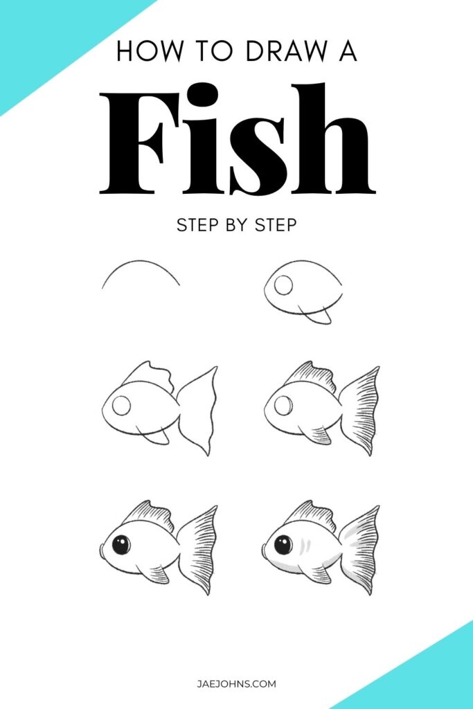 How to Draw a Fish (Step by Step with Pictures) Jae Johns