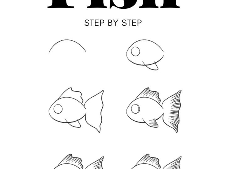 How to Draw a Cute Fish in 9 Easy Cute Fish Drawing Steps