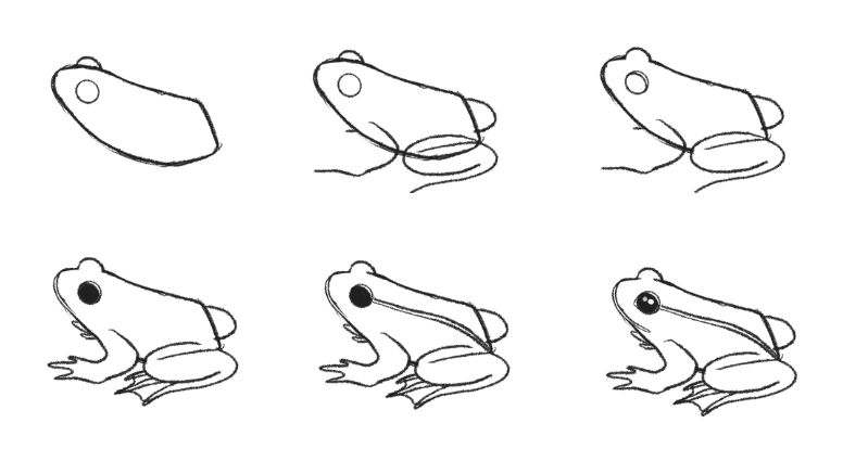 frog simple drawing