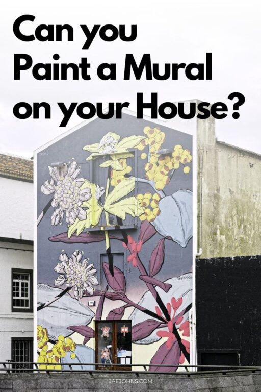 Can you Paint a Mural on your House?