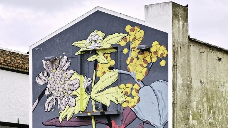 Can you Paint a Mural on your House?