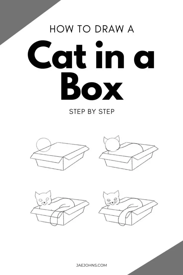 draw cat in a box