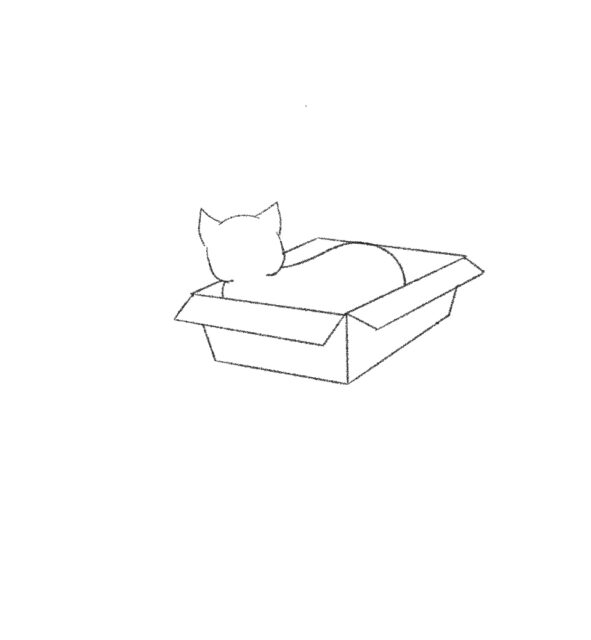 Draw a Cat in a Box in Quick and Easy Steps Jae Johns