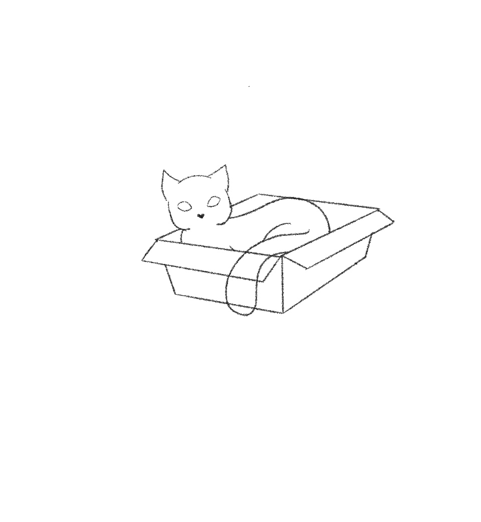 draw cat in a box step 14