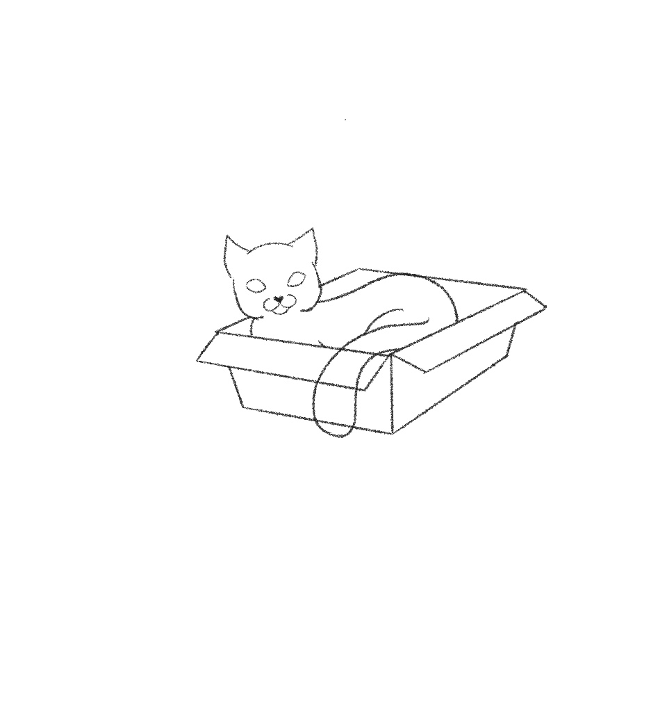 draw cat in a box step 15