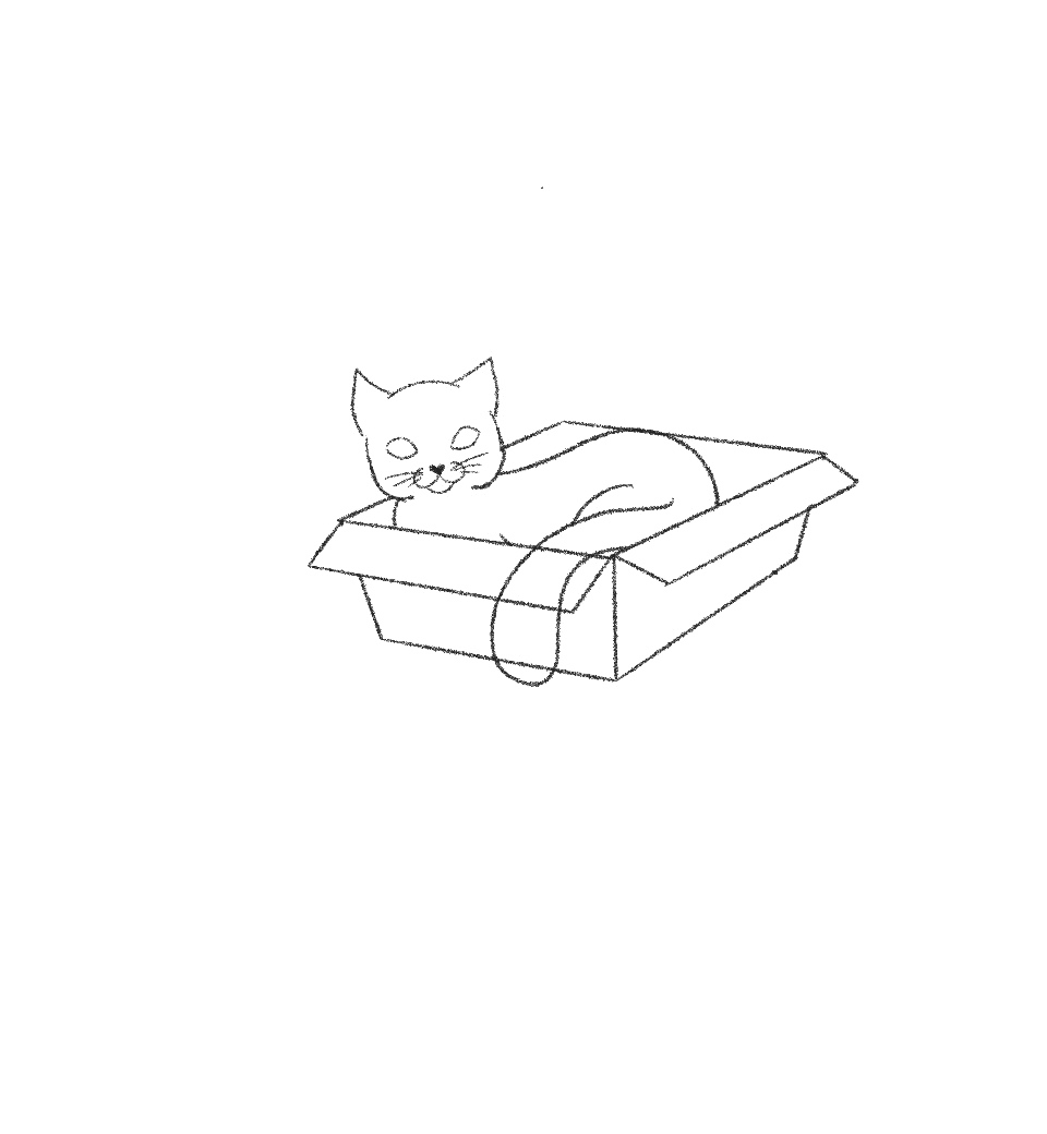 draw cat in a box step 16