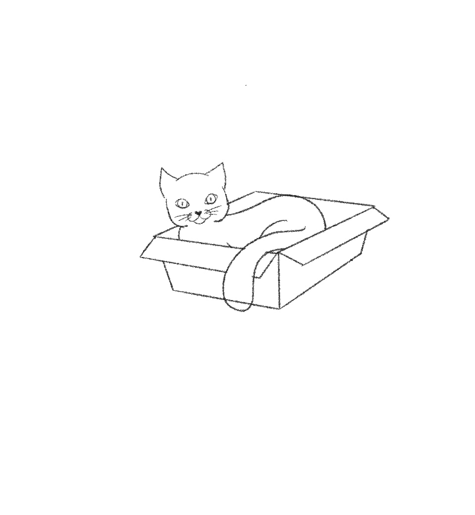 draw cat in a box step 17