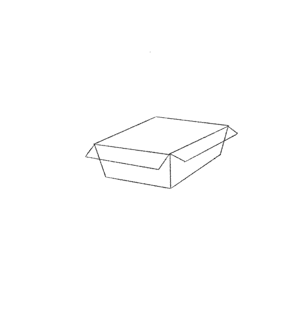 draw cat in a box step 5