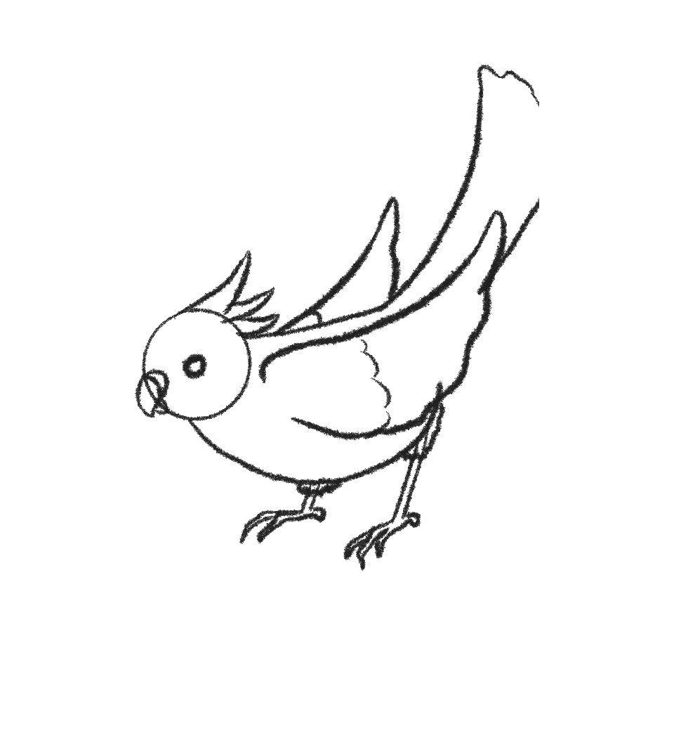 how to draw a bird step 11 finish drawing the legs