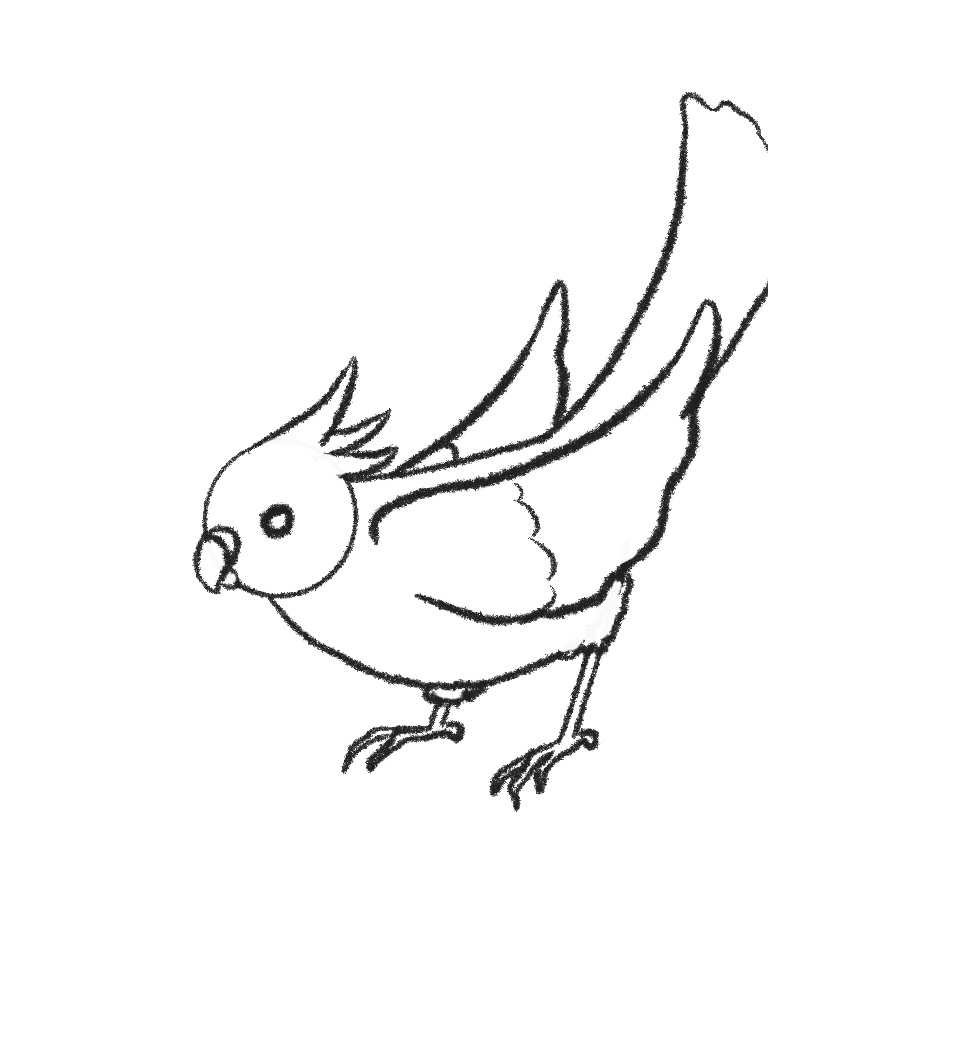 how to draw a bird step 12 erase overlapping lines