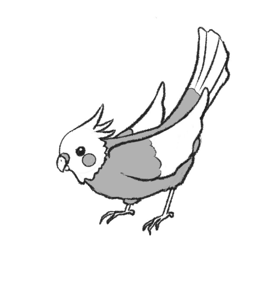 how to draw a small bird