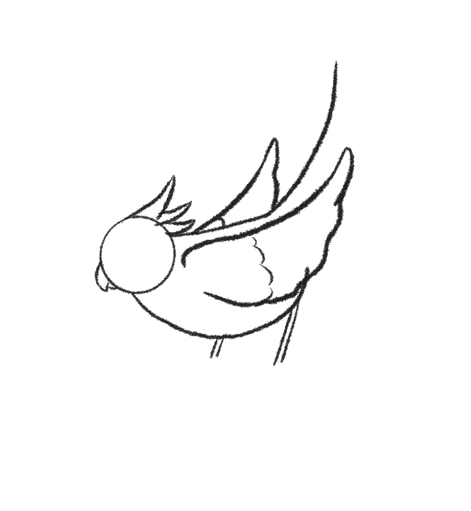 how to draw a bird step 9 close off the wings
