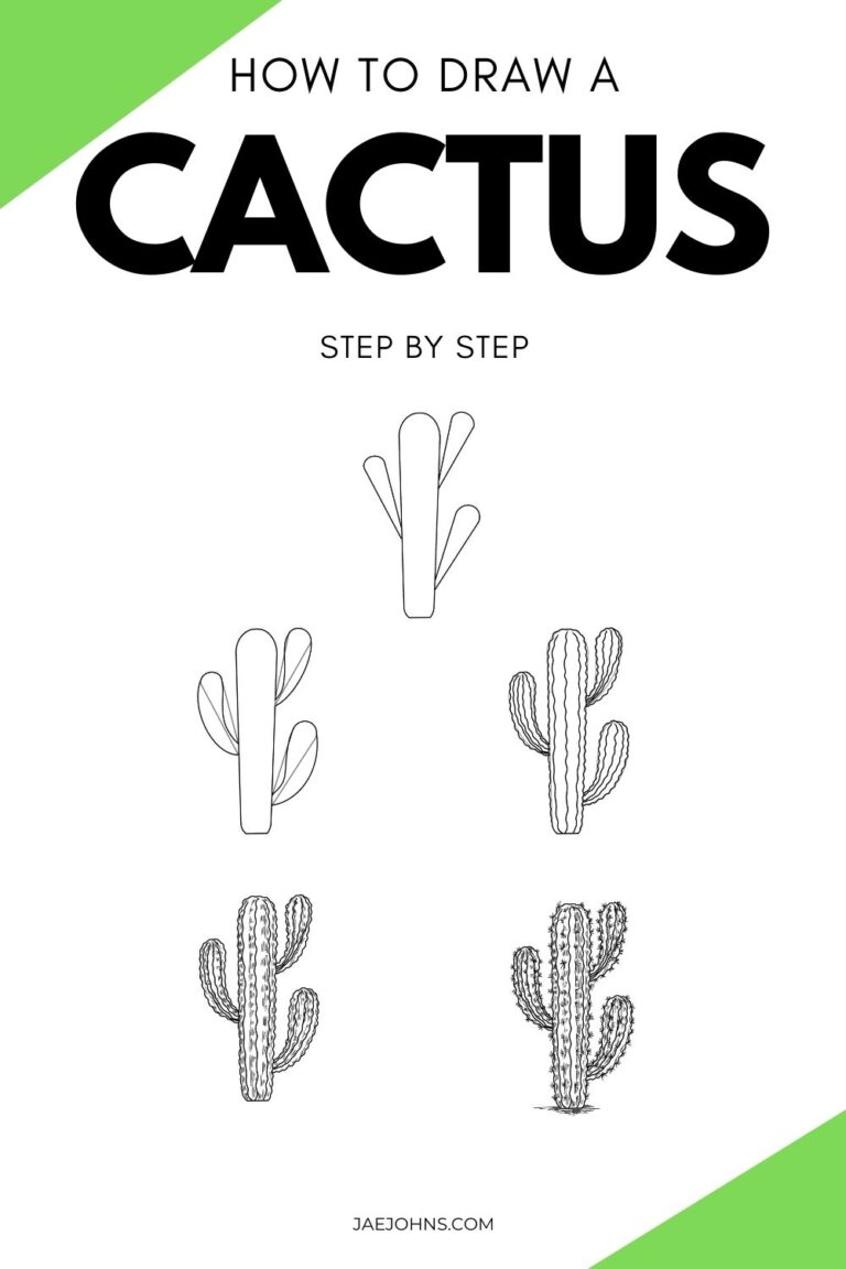 How to Draw a Realistic Cactus (5 Easy Steps) Jae Johns