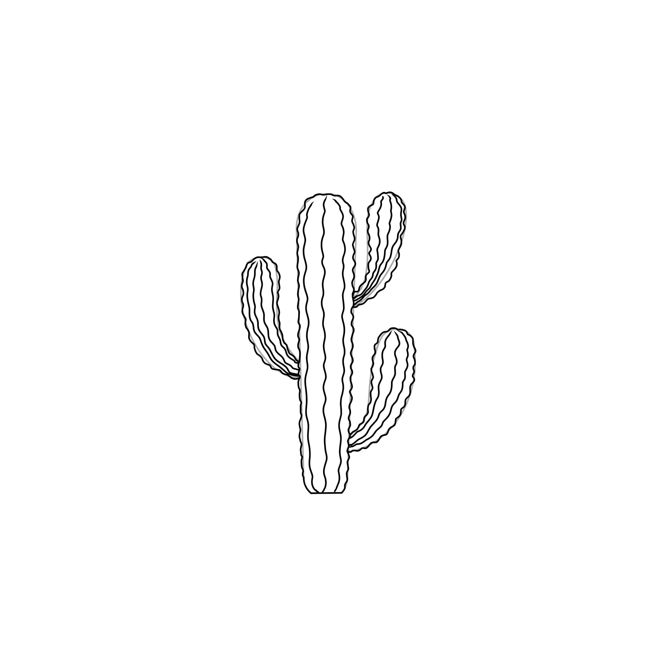 how to draw a cactus step 3 draw texture to cactus stem