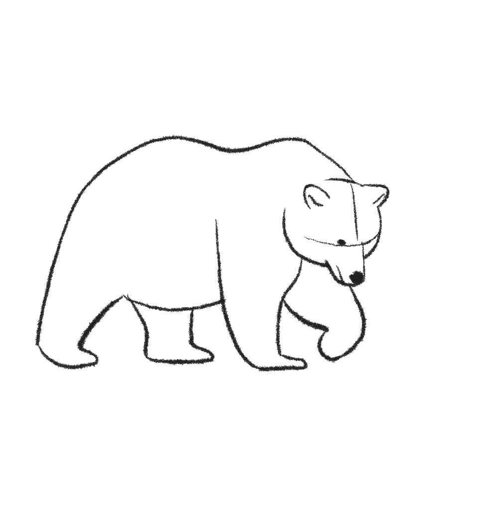 how to draw a grizzly bear step 10