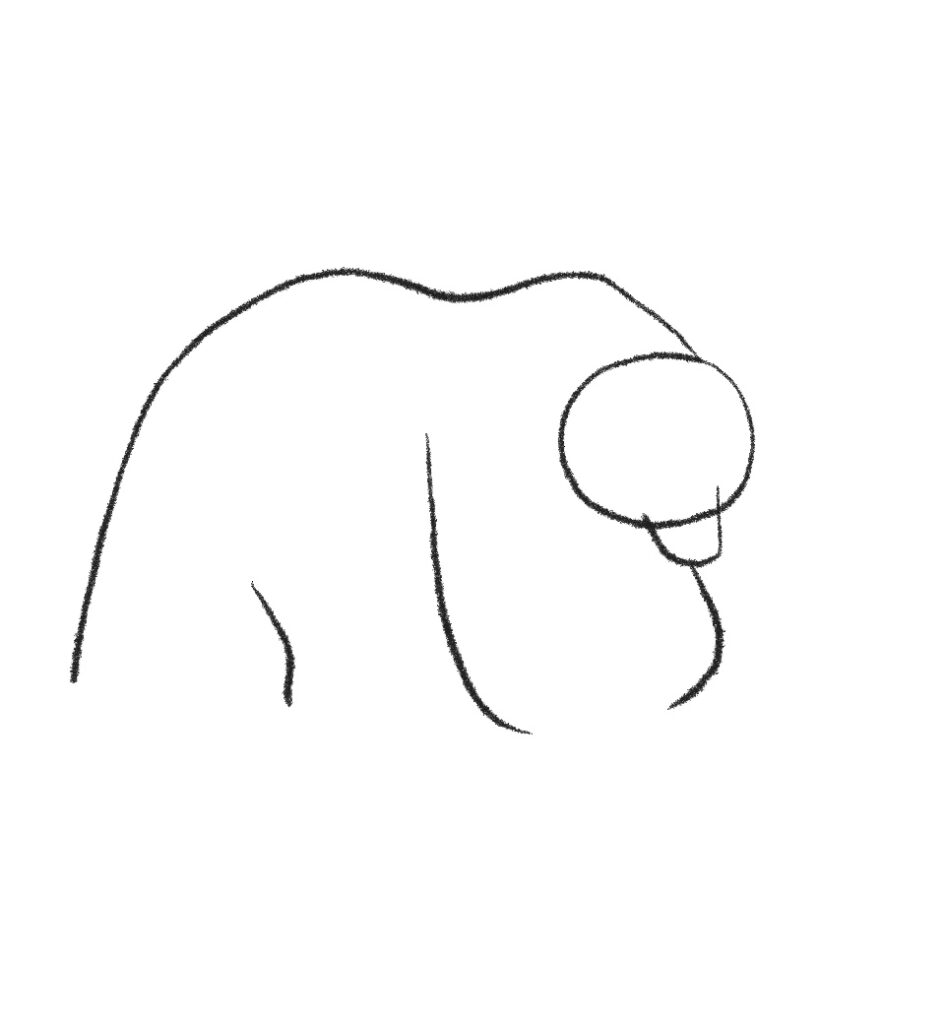 how to draw a grizzly bear step 4