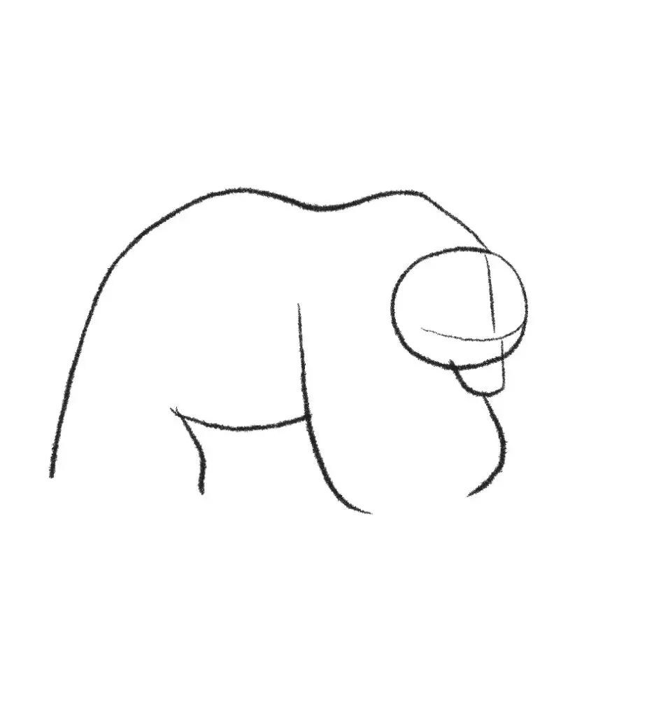 how to draw a grizzly bear step 5