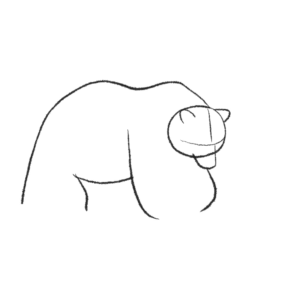 how to draw a grizzly bear step 6