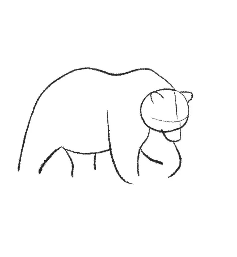 how to draw a grizzly bear step 7