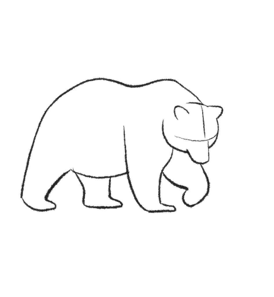 How To Draw A Grizzly Bear (realistic) 