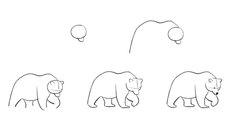 how to draw a grizzly bear