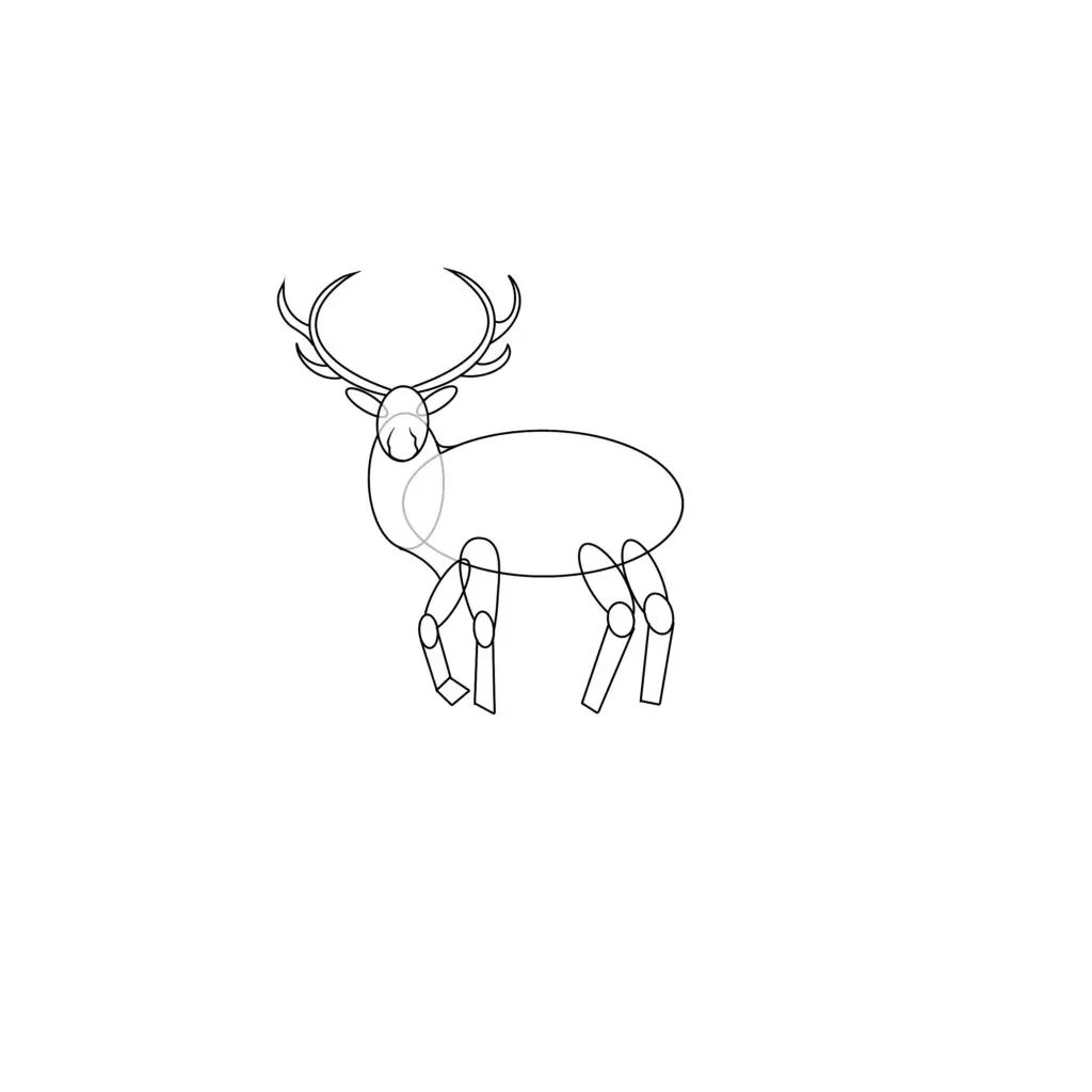 how to draw an elk step by step 2 draw elk legs